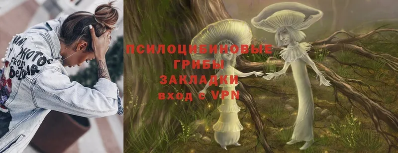 Галлюциногенные грибы Psilocybine cubensis  даркнет сайт  Ельня 